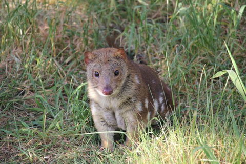 Oceania Tours And Safaris - Accommodation Broome 8