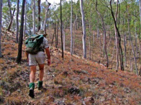 Shepherd's Peak Trail - Accommodation Broome 0