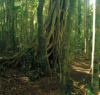 Tullawallal circuit - Accommodation Broome