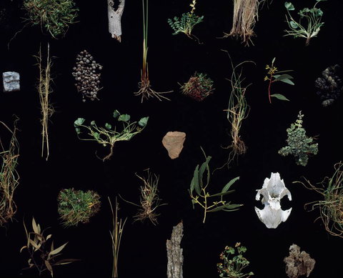 Weswal Gallery - Accommodation Broome 0