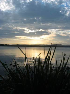 The Next Grind - Accommodation Broome 1