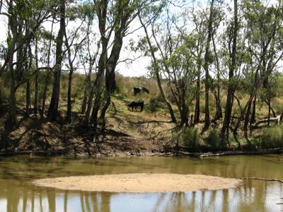 The Next Grind - Accommodation Broome 3
