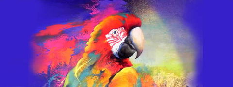 Tina Cooper Gallery - Accommodation Broome 2