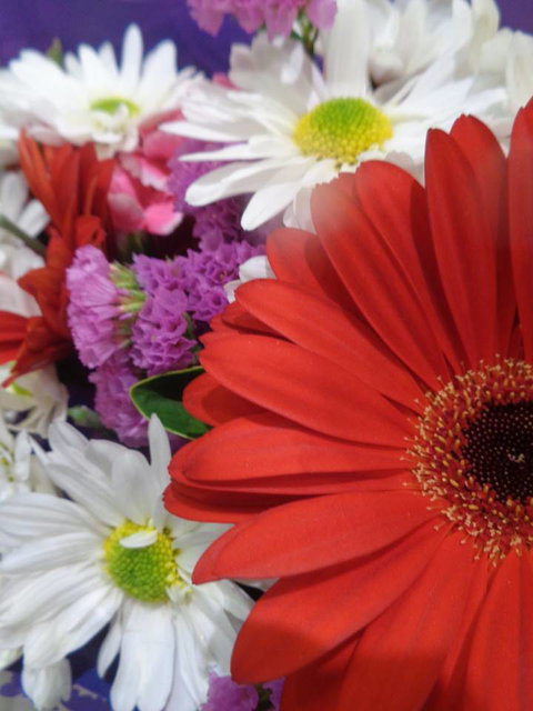 Marysworldart Bali Imports - Accommodation Broome 0