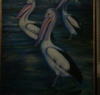 Charlie Moore - Accommodation Broome