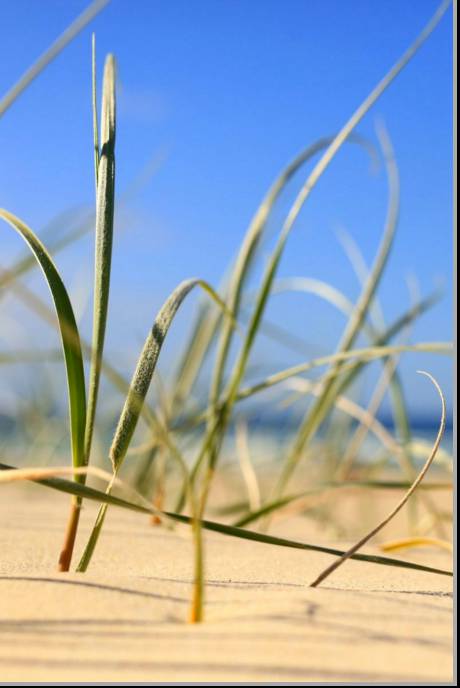 Coastal Visions Photography - Accommodation Broome 1