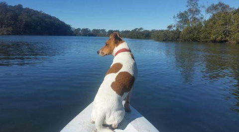 Australis Canoes & Kayaks - Accommodation Broome 0