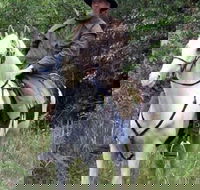 AAA Horse Riding  More - Accommodation Broome