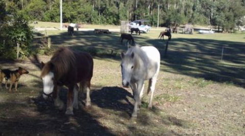 AAA Horse Riding & More - Accommodation Broome 2