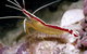 Cairns Marine - thumb 1