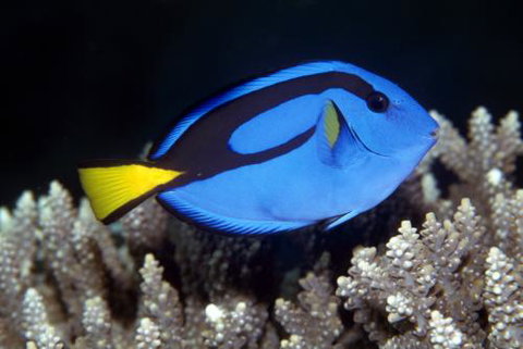Cairns Marine - Accommodation Broome 2