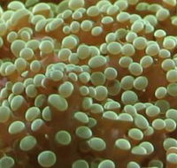 River to Reef Aquarium - Accommodation Broome