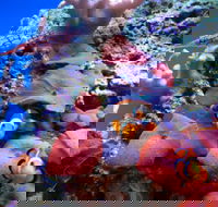 Tropical Marine Centre - Accommodation Broome