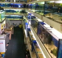 Clearwater Aquariums - Accommodation Broome