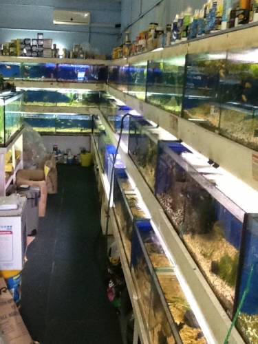 Clearwater Aquariums - Accommodation Broome 0
