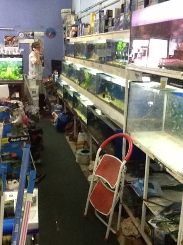 Clearwater Aquariums - Accommodation Broome 1