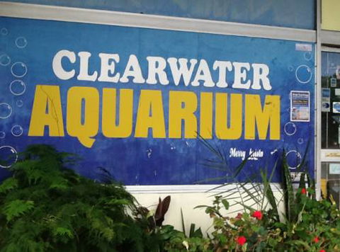 Clearwater Aquariums - Accommodation Broome 2
