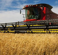 Quirindi Grain and produce - Accommodation Broome