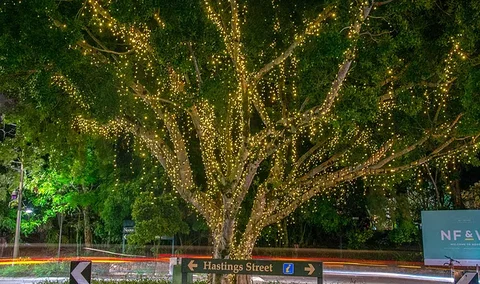 The Sunshine Coast Tour Company - Accommodation Broome 3