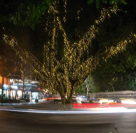 The Sunshine Coast Tour Company - Accommodation Broome 2