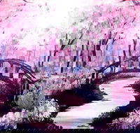 Pink Forest - Boardwalk Bar 4.00-6.00pm - Accommodation Broome