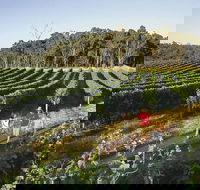 Margaret River Caves Wine and Cape Leeuwin Lighthouse Tour from Perth - Accommodation Broome