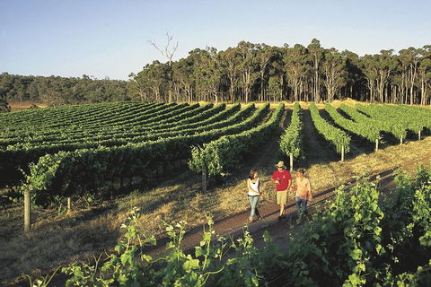 Margaret River, Caves, Wine And Cape Leeuwin Lighthouse Tour From Perth - Accommodation Broome 0