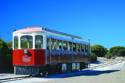 Rottnest Island Grand Tour Including Lunch And Historical Train Ride - Accommodation Broome 1