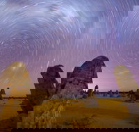 Pinnacles Sunset Dinner and Wildlife Experience a Small Group Tour - Accommodation Broome