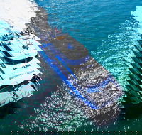 Rottnest Island Roundtrip Ferry from Perth with Transfer - Accommodation Broome
