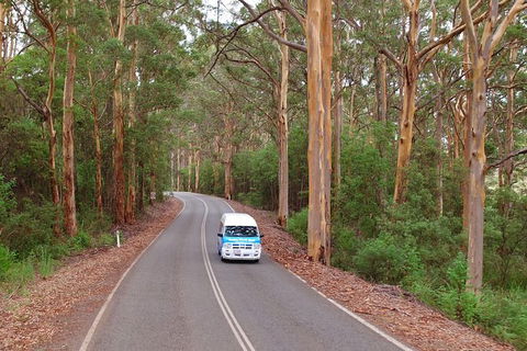 Taste Of The Great Southern - Accommodation Broome 1