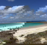 Abrolhos Island Half Day Fly and Flipper - Accommodation Broome