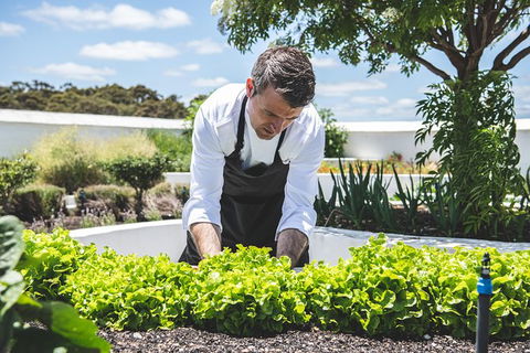 Voyager Estate: Private Winery Tasting Tour In Margaret River With Lunch - Accommodation Broome 8