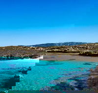 Rottnest Island Roundtrip Fast Ferry from Hillarys Boat Harbour - Accommodation Broome