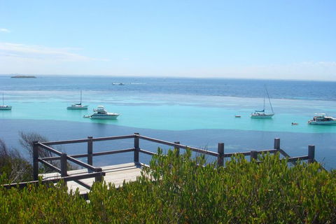 Rottnest Bayseeker Bus Tour From Hillarys Boat Harbour - Accommodation Broome 3