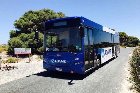Rottnest Bayseeker Bus Tour From Hillarys Boat Harbour - Accommodation Broome 2