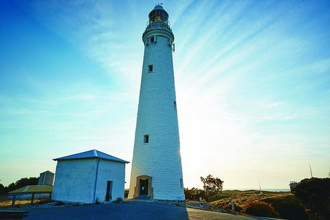 Rottnest Bayseeker Bus Tour From Hillarys Boat Harbour - Accommodation Broome 4