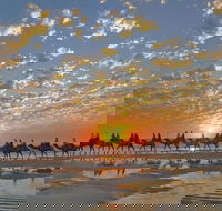 Broome City Sightseeing Tour with Optional Camel Ride - Accommodation Broome