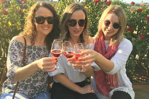 Half Day Swan Valley Wine Tour - Accommodation Broome 0