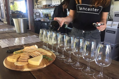 Half Day Swan Valley Wine Tour - Accommodation Broome 1