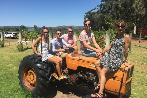 Half Day Swan Valley Wine Tour - Accommodation Broome 6