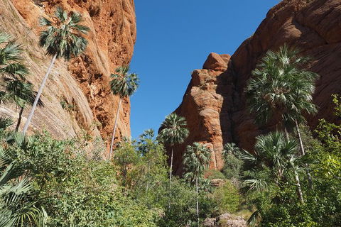 13-Day Kimberley Walking Tour Including Spectacular Gorges The Gibb River Road And The Bungle Bungles - Accommodation Broome 6