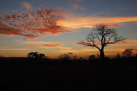 13-Day Kimberley Walking Tour Including Spectacular Gorges The Gibb River Road And The Bungle Bungles - Accommodation Broome 4