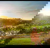 Private Swan Valley Tour by Luxury Vehicle from Perth - Accommodation Broome