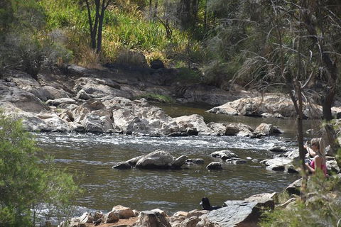 Private Swan Valley Tour By Luxury Vehicle From Perth - Accommodation Broome 5