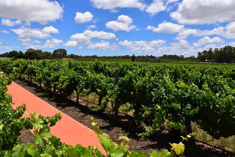 Private Swan Valley Tour By Luxury Vehicle From Perth - Accommodation Broome 7