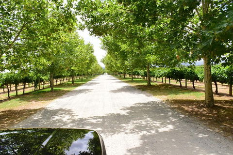 Private Swan Valley Tour By Luxury Vehicle From Perth - Accommodation Broome 27