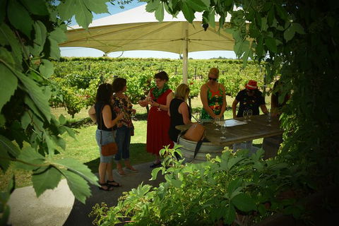 Private Swan Valley Tour By Luxury Vehicle From Perth - Accommodation Broome 15