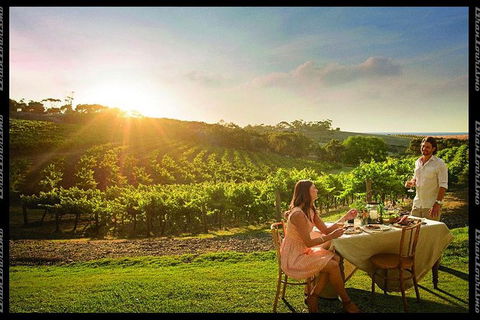 Private Swan Valley Tour By Luxury Vehicle From Perth - Accommodation Broome 2