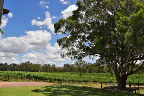 Private Swan Valley Tour By Luxury Vehicle From Perth - Accommodation Broome 20